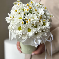 Композиция в коробке из ромашек № 80