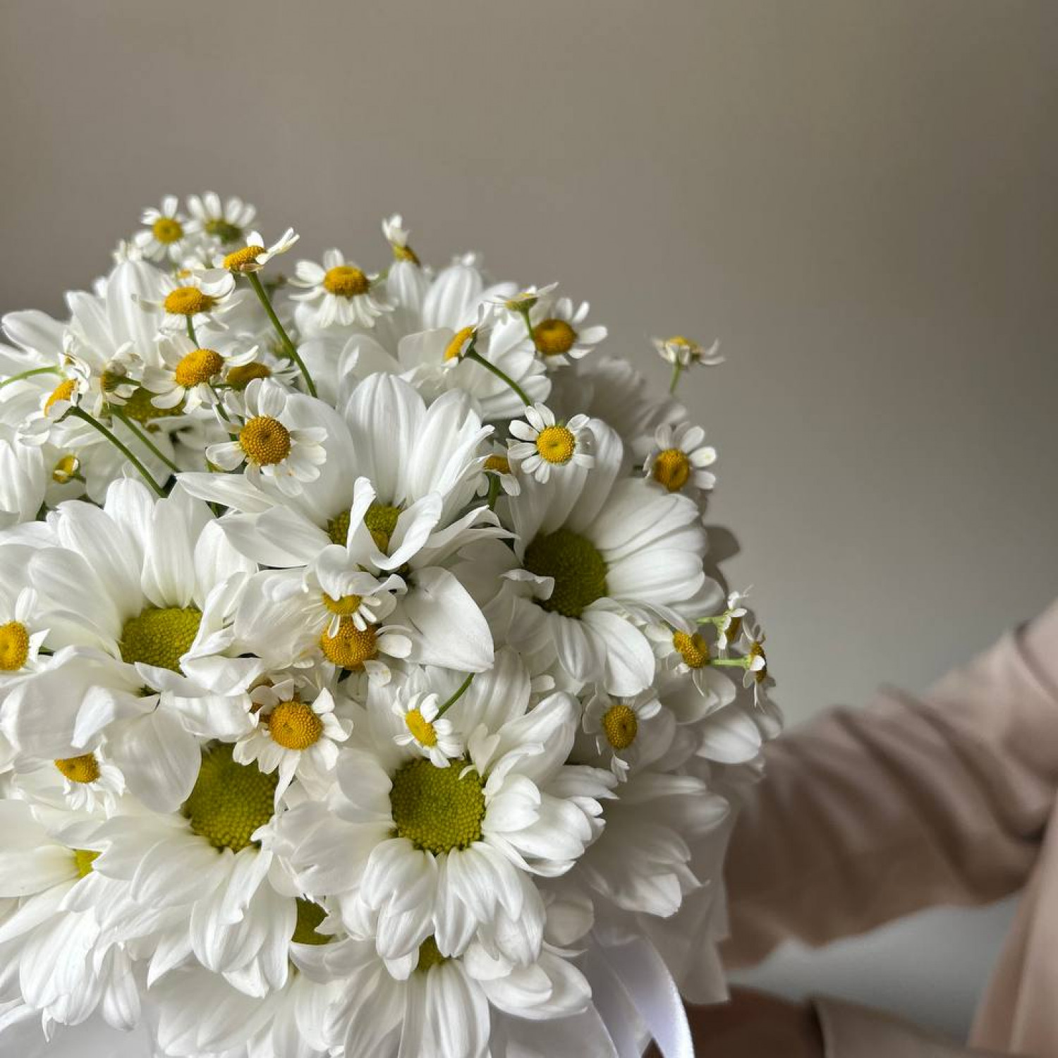 Композиция в коробке из ромашек № 80