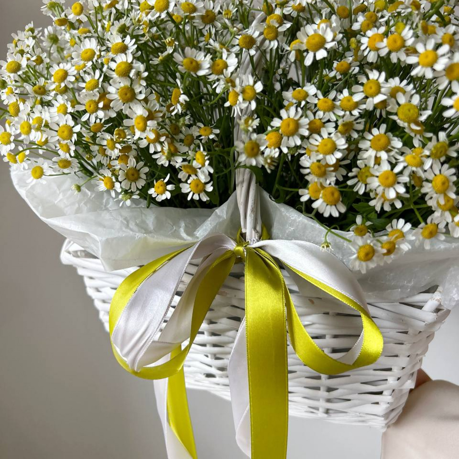 Корзина с ромашками