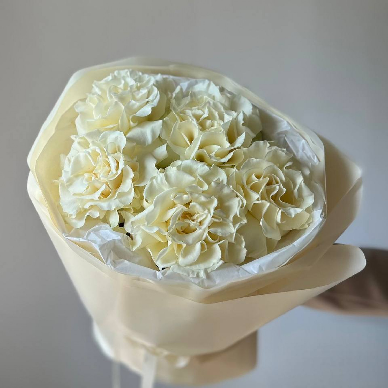 Монобукет из 5 белых французских вывернутых роз