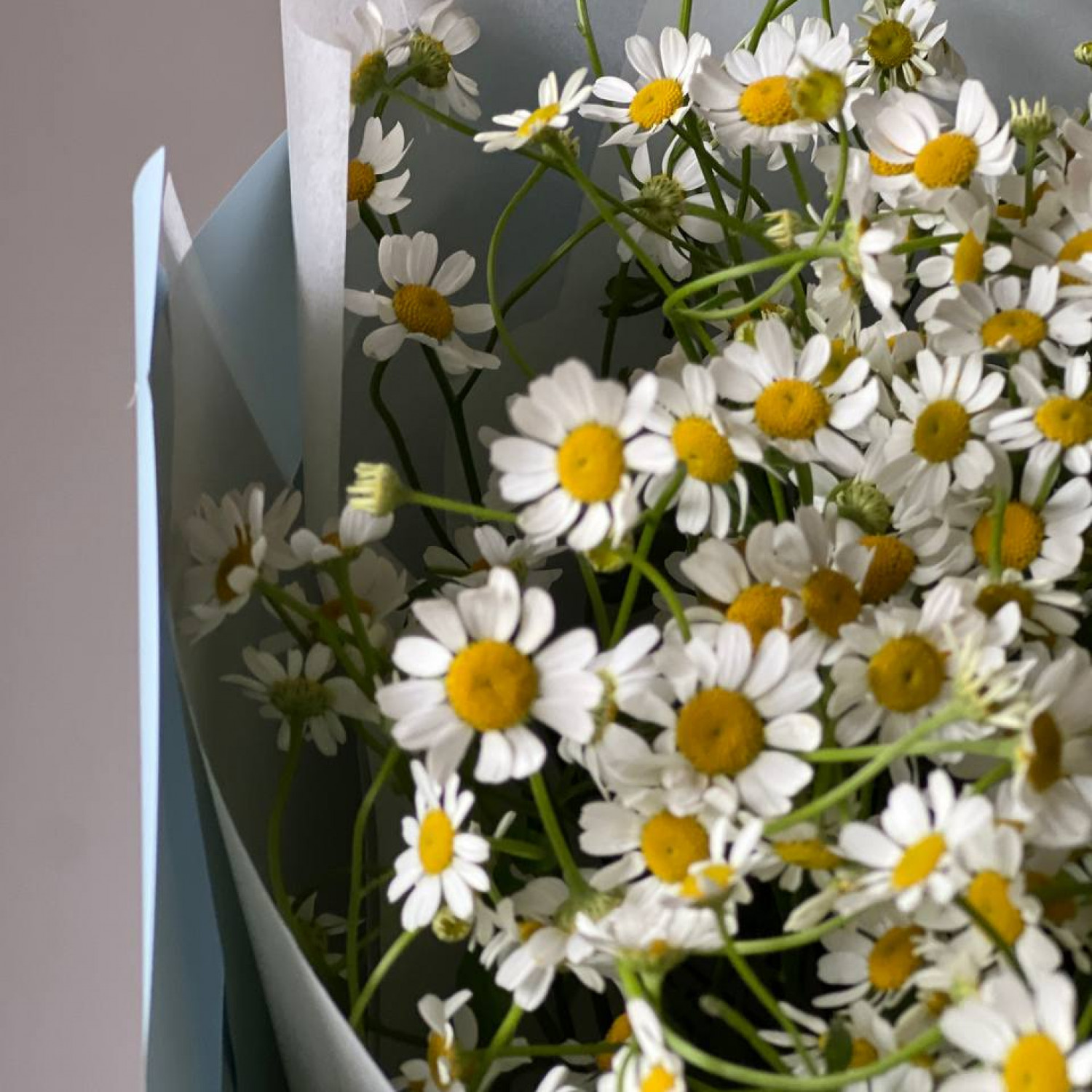 Букет из 15 кустовых ромашек