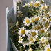 Букет из 15 кустовых ромашек