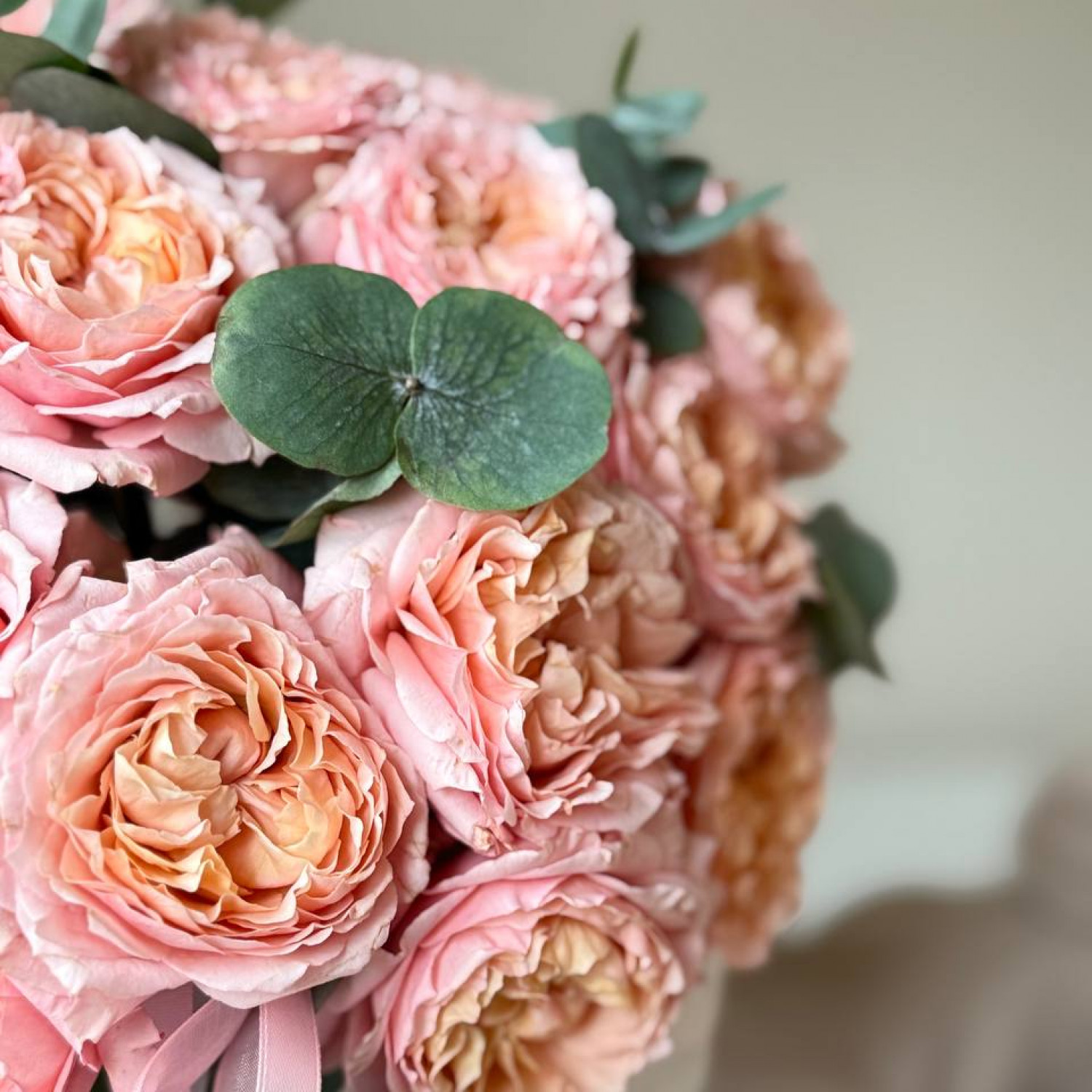 Композиция в коробке из пионовидной розы Джульетта 011