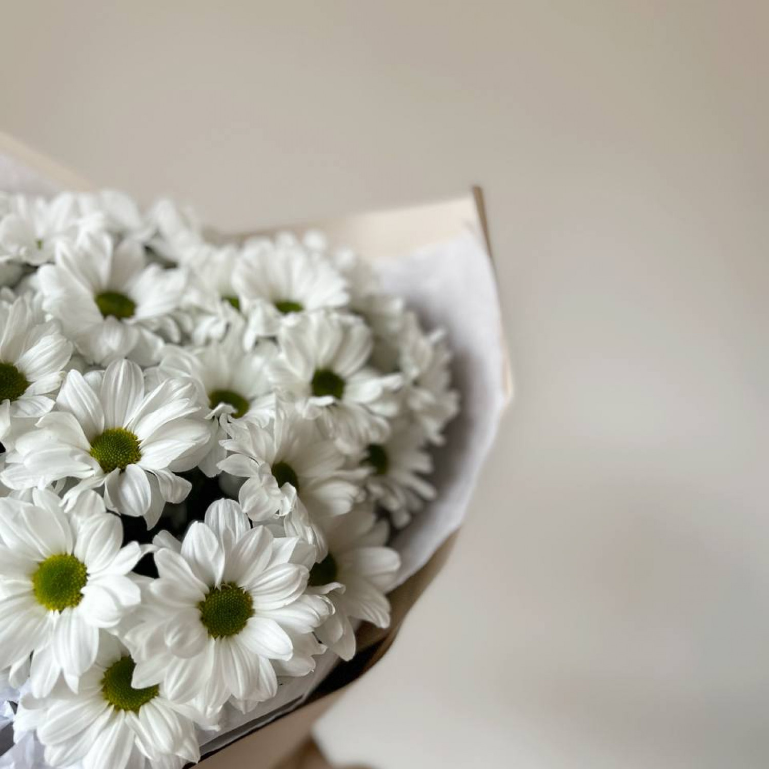 Букет из 5 кустовых хризантем Чик